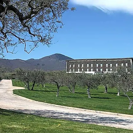 Grand Garden Barile